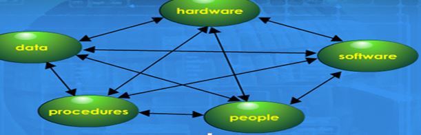 Information Systems